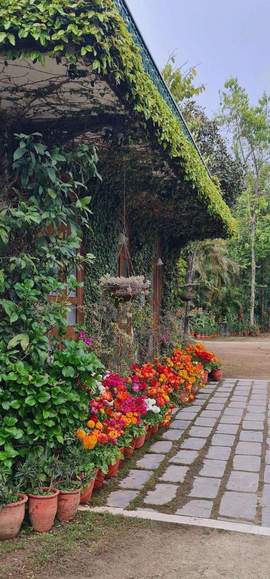 Shaheen Bagh - A Luxury Boutique Resort & Spa Rājpur Exterior foto